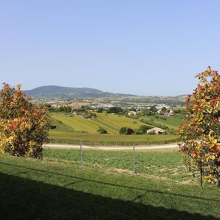 Villa Belvedere Degli Ulivi Osimo Εξωτερικό φωτογραφία