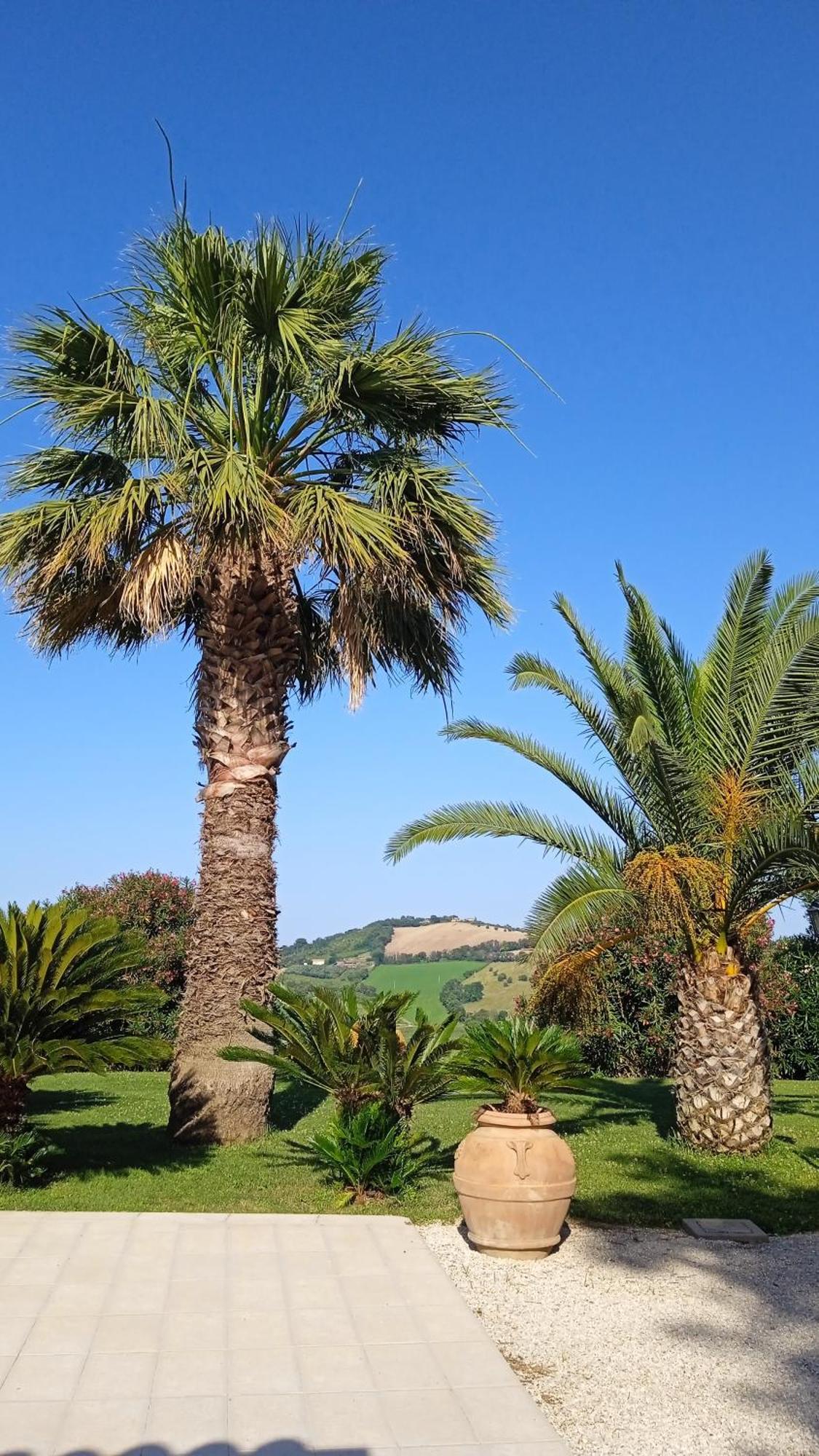 Villa Belvedere Degli Ulivi Osimo Εξωτερικό φωτογραφία