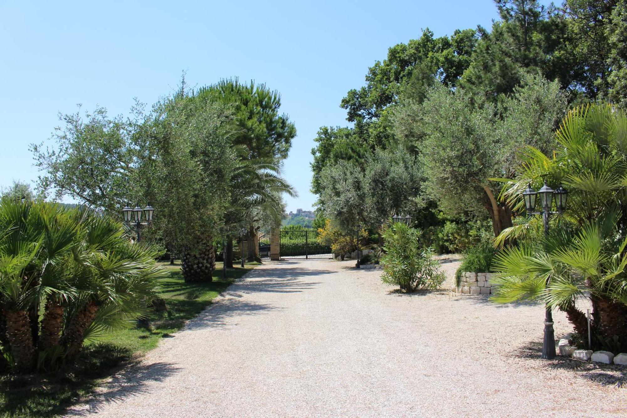 Villa Belvedere Degli Ulivi Osimo Εξωτερικό φωτογραφία